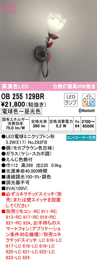 【送料無料】 オーデリック T区分 OB255129BR-SF （ランプ別梱包）『OB255129#＋NO292FB』 ブラケット 一般形 リモコン別売 自動点灯無し 畳数設定無し LED 安心のメーカー保証