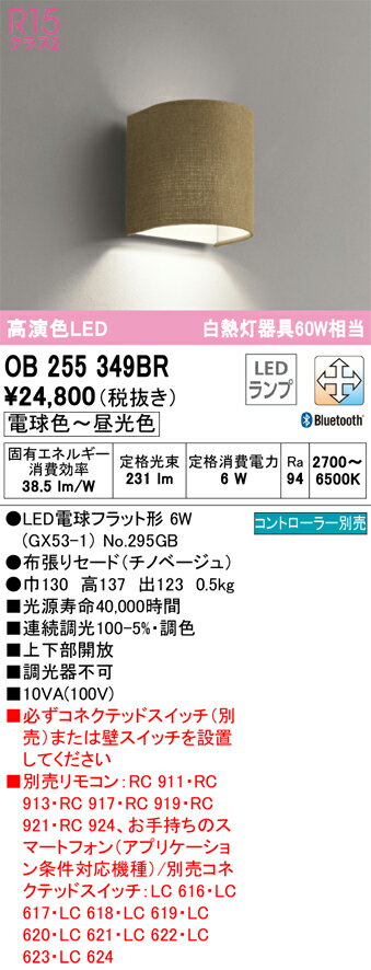 【送料無料】 オーデリック T区分 OB255349BR-SF （ランプ別梱包）『OB255349#＋NO295GB』 ブラケット リモコン別売 畳数設定無し LED 安心のメーカー保証