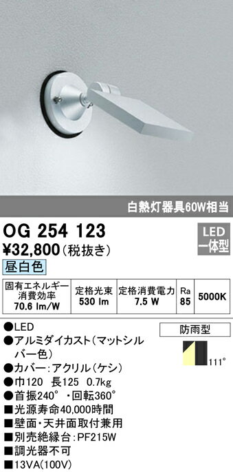 乐天商城 - 【送料無料】 オーデリック T区分 OG254123 屋外灯 スポットライト 自動点灯無し 畳数設定無し LED 安心のメーカー保証