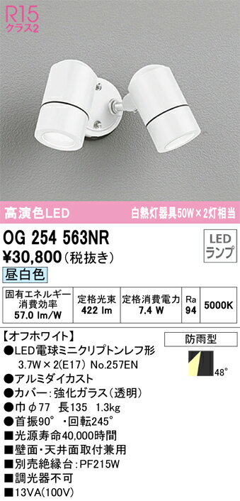 T区分 オーデリック OG254563NR （ランプ別梱包）『OG254563#＋NO257EN×2』 屋外灯 スポットライト 自動点灯無し 畳数設定無し LED 安心のメーカー保証