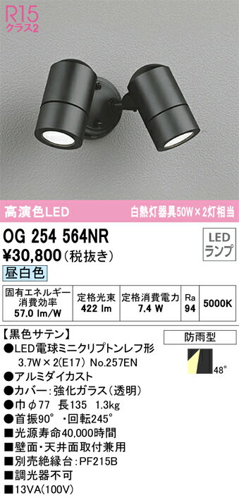 Light - 【送料無料】 オーデリック T区分 OG254564NR-SF （ランプ別梱包）『OG254564#＋NO257EN×2』 屋外灯 スポットライト 自動点灯無し 畳数設定無し LED 安心のメーカー保証