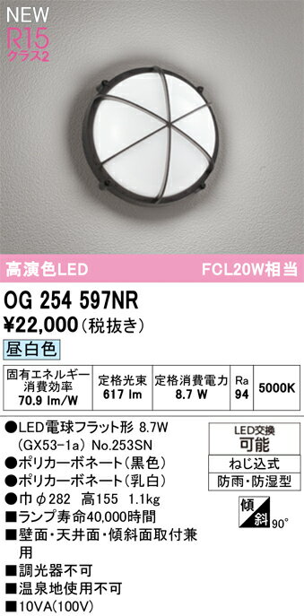 【送料無料】 オーデリック H区分 OG254597NR-SF （ランプ別梱包）『OG254597#＋NO253SN』 ポーチライ..