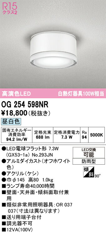 【送料無料】 オーデリック H区分 OG254598NR-SF （ランプ別梱包）『OG254598#＋NO293JN』 ポーチライ..