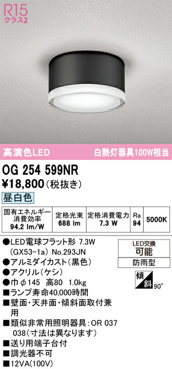 樂天商城 - H区分 オーデリック OG254599NR （ランプ別梱包）『OG254599#＋NO293JN』 ポーチライト 畳数設定無し LED 安心のメーカー保証