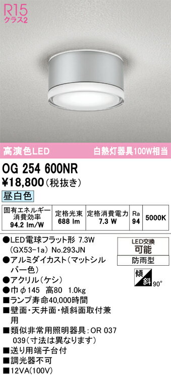 【送料無料】 オーデリック H区分 OG254600NR-SF （ランプ別梱包）『OG254600#＋NO293JN』 ポーチライ..
