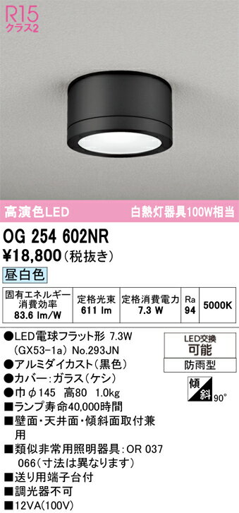 【送料無料】 オーデリック T区分 OG254602NR-SF （ランプ別梱包）『OG254602#＋NO293JN』 ポーチライト 畳数設定無し LED 安心のメーカー保証