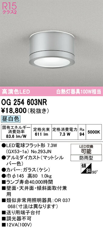【送料無料】 オーデリック T区分 OG254603NR-SF （ランプ別梱包）『OG254603#＋NO293JN』 ポーチライト 畳数設定無し LED 安心のメーカー保証