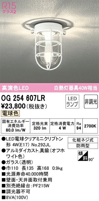 T区分 オーデリック OG254607LR （ランプ別梱包）『OG254607#＋NO292JL』 ポーチライト 畳数設定無し L..