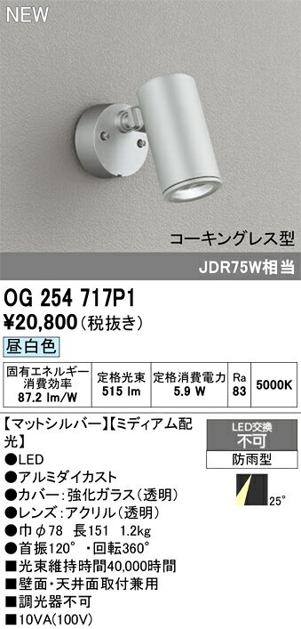 T区分 オーデリック OG254717P1 屋外灯 スポットライト 畳数設定無し LED 安心のメーカー保証