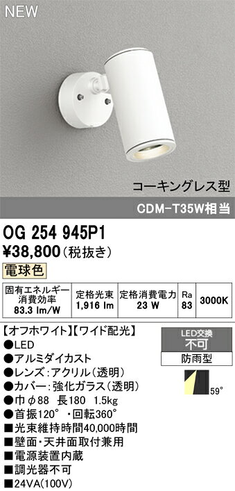 T区分 オーデリック OG254945P1 屋外灯 スポットライト 畳数設定無し LED 安心のメーカー保証