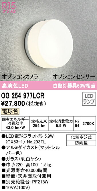 【送料無料】 オーデリック T区分 OG254977LCR-SF （ランプ別梱包）『OG254977#＋NO293TL』 ポーチライト 畳数設定無し LED 安心のメーカー保証