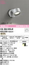 T区分 オーデリック OG264025LR (ランプ別梱包)『OG264025#+NO293E』 屋外灯 スポットライト 人感センサー 畳数設定無し LED 安心のメーカー保証