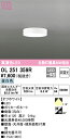 【送料無料】 オーデリック H区分 OL251359R シーリングライト 畳数設定無し LED 安心のメーカー保証