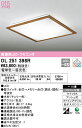 【送料無料】H区分 オーデリック OL251398R シーリングライト リモコン付 〜10畳 LED 安心のメーカー保証