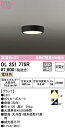 【送料無料】 オーデリック H区分 OL251775R シーリングライト 畳数設定無し LED 安心のメーカー保証