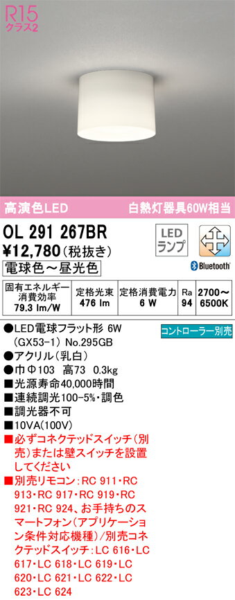樂天商城 - T区分 オーデリック OL291267BR （ランプ別梱包）『OL291267#＋NO295GB』 シーリングライト リモコン別売 畳数設定無し LED 安心のメーカー保証