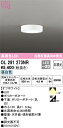 【送料無料】 オーデリック N区分 OL291273NR シーリングライト 畳数設定無し LED 安心のメーカー保証