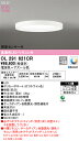 【送料無料】H区分 オーデリック OL291621CR シーリングライト リモコン付 照度センサー 〜12畳 LED 安心のメーカー保証