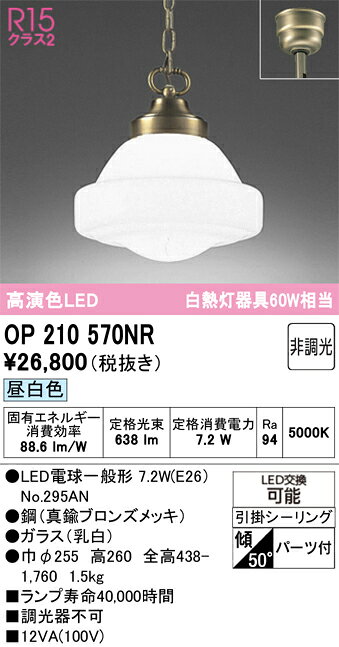 【送料無料】 オーデリック T区分 OP210570NR-SF （ランプ別梱包）『OP210570#＋NO295AN』 ペンダント 畳数設定無し LED 安心のメーカー保証