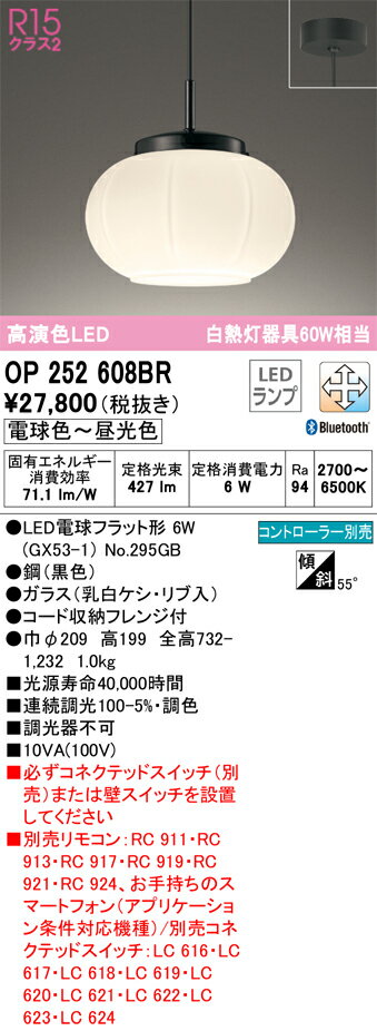 乐天商城 - 【送料無料】 オーデリック T区分 OP252608BR-SF （ランプ別梱包）『OP252608#＋NO295GB』 ペンダント リモコン別売 畳数設定無し LED 安心のメーカー保証