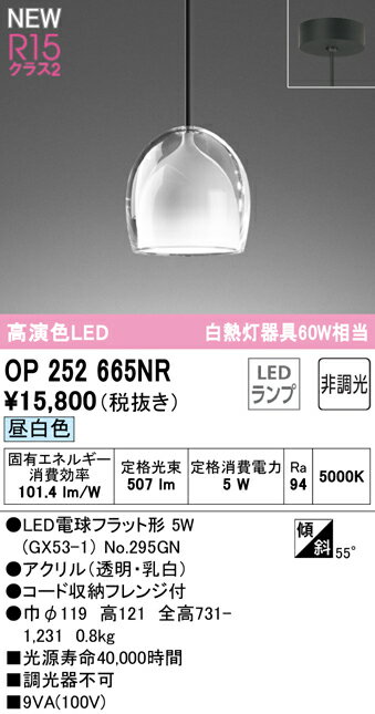 N区分 オーデリック OP252665NR （ランプ別梱包）『OP252665#＋NO295GN』 ペンダント 畳数設定無し LED 安心のメーカー保証