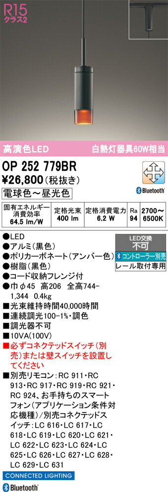 Vaulted Ceiling - T区分 オーデリック OP252779BR ペンダント 配線ダクト用 リモコン別売 畳数設定無し LED 安心のメーカー保証