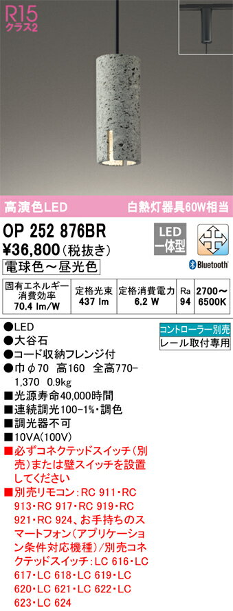 Vaulted Ceiling - 【送料無料】 オーデリック T区分 OP252876BR ペンダント 配線ダクト用 リモコン別売 畳数設定無し LED 安心のメーカー保証