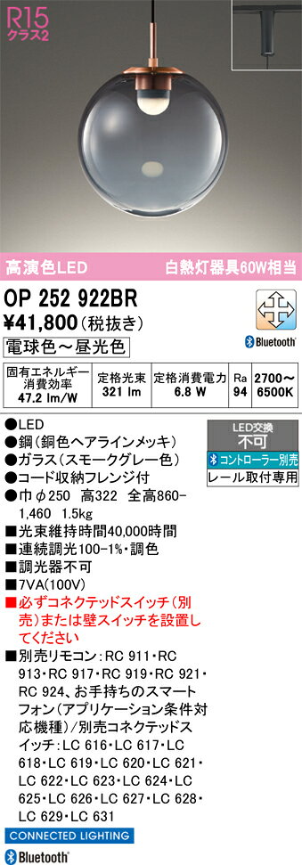 【送料無料】 オーデリック T区分 OP252922BR ペンダント 配線ダクト用 リモコン別売 畳数設定無し LED 安心のメーカー保証