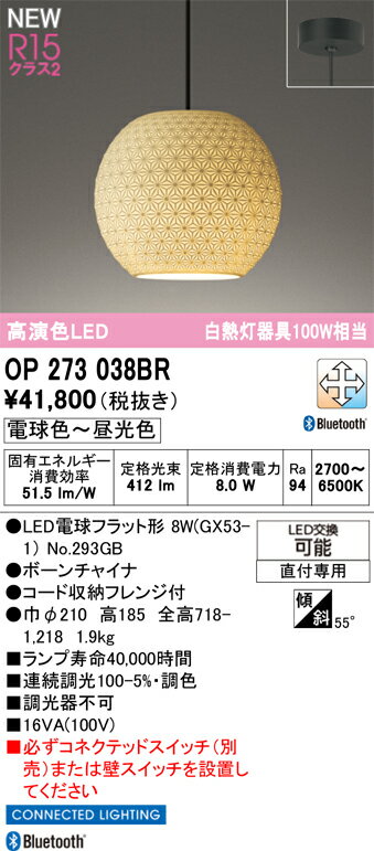 Pendant Lamps - T区分 オーデリック OP273038BR （ランプ別梱包）『OP273038#＋NO293GB』 ペンダント 畳数設定無し LED 安心のメーカー保証