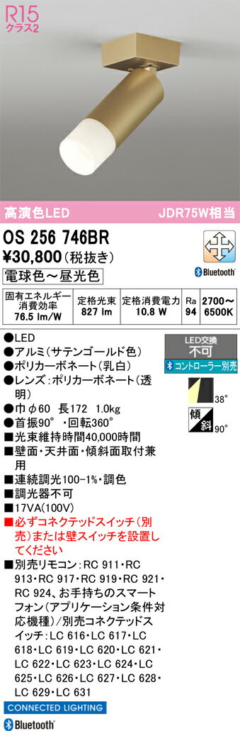 【送料無料】 オーデリック T区分 OS256746BR スポットライト リモコン別売 畳数設定無し LED 安心のメーカー保証