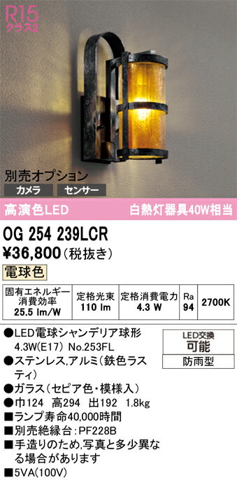 T区分 オーデリック OG254239LCR （ランプ別梱包）『OG254239#＋NO253FL』 ポーチライト 畳数設定無し LED 安心のメーカー保証