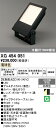 【送料無料】H区分 オーデリック XG454051 屋外灯 スポットライト 畳数設定無し LED 安心のメーカー保証