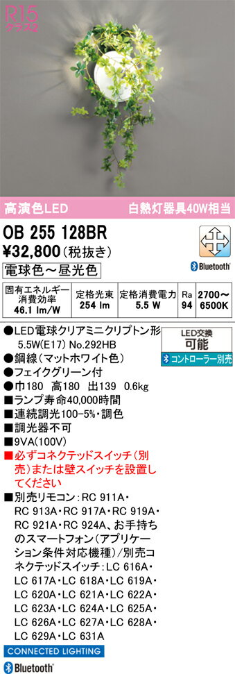 T区分 オーデリック OB255128BR （ランプ別梱包）『OB255128#＋NO292GB』 ブラケッ...