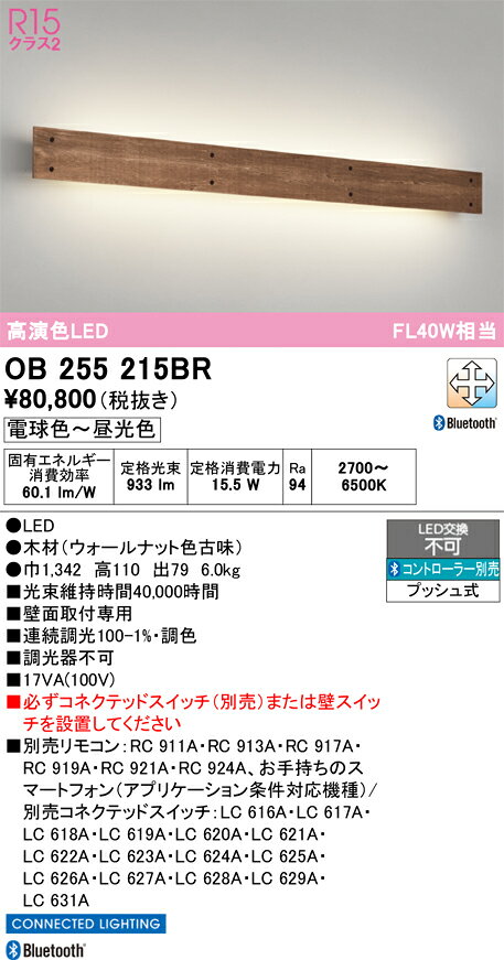 【送料無料】N区分 オーデリック OB255215BR ブラケット 一般形 リモコン別売 自動...