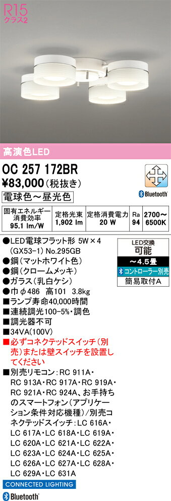 T区分オーデリックOC257172...