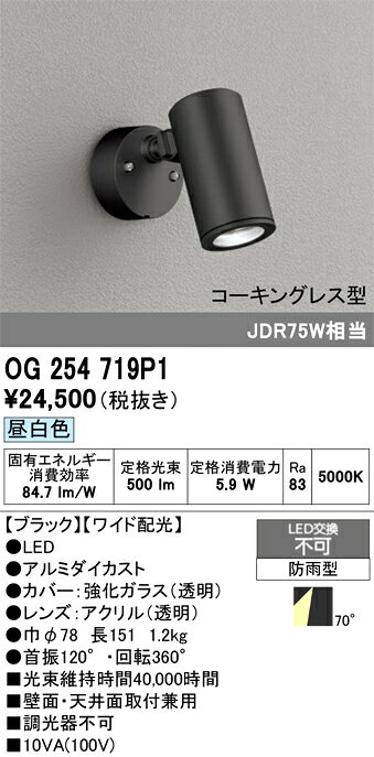 OG254719P1OG254719P1屋外灯 スポットライト LED電気工事必要 畳数設定無し