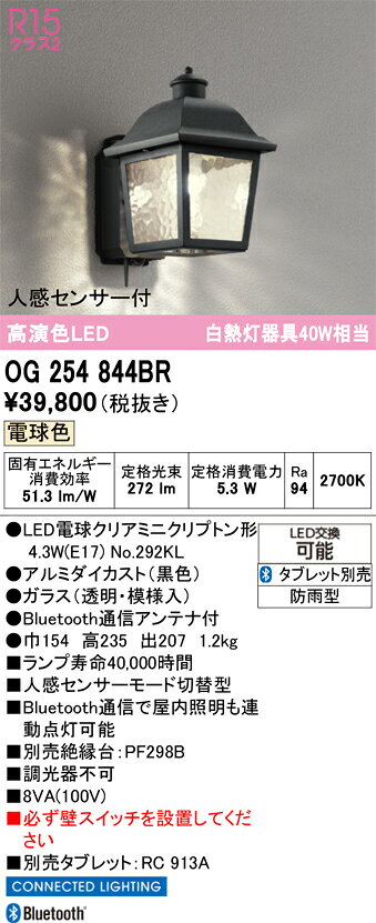 T区分 オーデリック OG254844BR （ランプ別梱包）『OG254844#＋NO292KL』 ポーチラ...