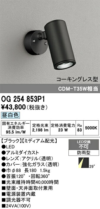OG254853P1OG254853P1屋外灯 スポットライト LED電気工事必要 畳数設定無し