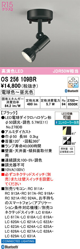 【送料無料】 オーデリック T区分 OS256109BR-SF （ランプ別梱包）『OS256109＋NO2...