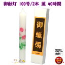 絵ろうそく 御献灯 ごけんとう 100号 2本 蓮 はす 約40時間 東海製蝋 日本製 絵蝋燭 絵ローソク ろうそく ローソク 蝋燭 進物 仏壇 お供え物 お花...