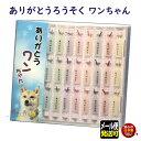 ろうそく ありがとう ワンちゃん CDケース入 小池ろうそく ペット 新潟県 日本製 蝋燭 ミニローソク ミニ ありがとう 犬 メール便