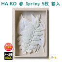 t   Spring HA KO 5  1731 O { A} ͂ t     [ CZX      