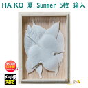 葉っぱ の お香 Summer HA KO 5枚 箱入り 1732 薫寿堂 日本製 アロマ はっぱ 葉 紙箱 香り 室内香 部屋焚き ルーム インセンス 香 おしゃれ しおり 文香 可愛い 香
