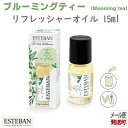 エステバン インテリアガーデンナチュール ブルーミングティー リフレッシャーオイル15ml 52516 ESTEBAN 日本香堂 日本製 アロマ 香り 香 おし...