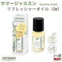 エステバン インテリアガーデンナチュール サマージャスミン リフレッシャーオイル15ml 52526 ESTEBAN 日本香堂 日本製 アロマ 香り 香 おしゃ...
