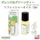 エステバン インテリアガーデンナチュール オレンジ&グリーンティー ルー リフレッシャーオイル15ml 52546 ESTEBAN 日本香堂 日本製 アロマ 香...
