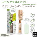 エステバン インテリアガーデンナチュール レモングラス&ミント ラタンブーケディフューザー 52551 ESTEBAN 日本香堂 日本製 アロマ 香り 香 おし...