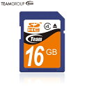 Team SDHC カード 16GB SDメモリーカード SDHC Class 4 TG016G0SD24X【送料無料nポスト投函】 sdhc card