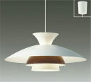 DPN-40521YE ペンダント (白熱灯120W相当) LED電球 13W(E26)電球色 大光電機 (DDS) 照明器具(3)