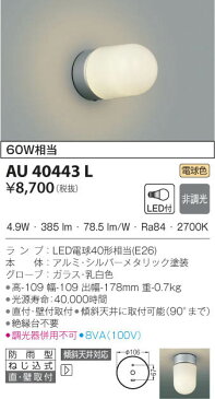 AU40443L 防雨型ブラケット LED（電球色） コイズミ照明(SX) 照明器具